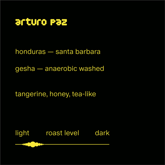arturo paz | honduras | anaerobic washed gesha