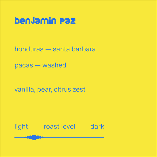 benjamin paz | honduras | washed pacas