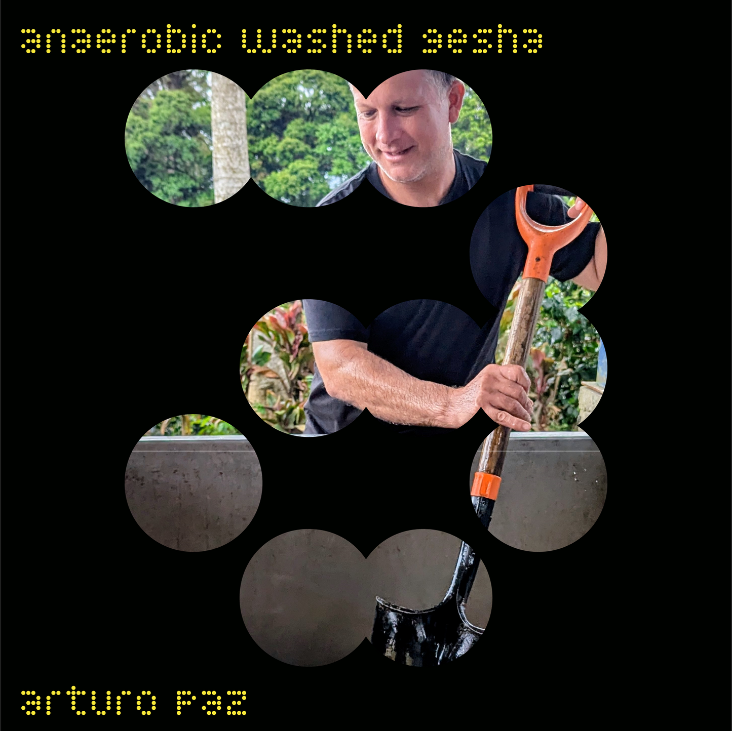 arturo paz | honduras | anaerobic washed gesha