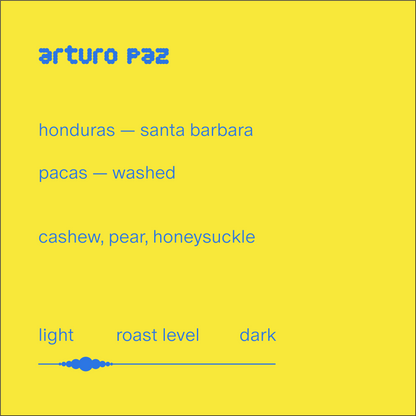 arturo paz | honduras | washed pacas