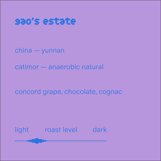 gao's estate | china | anaerobic natural catimor