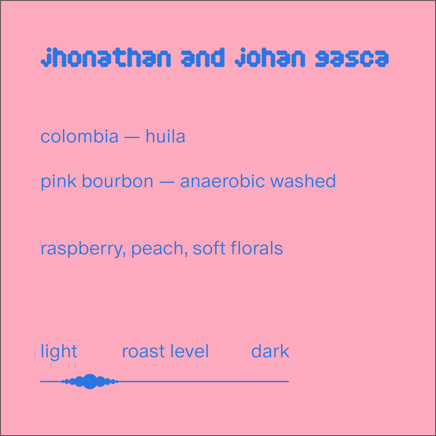 jhonathan and johan gasca | colombia | anaerobic washed pink bourbon
