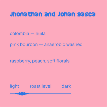 jhonathan and johan gasca | colombia | anaerobic washed pink bourbon
