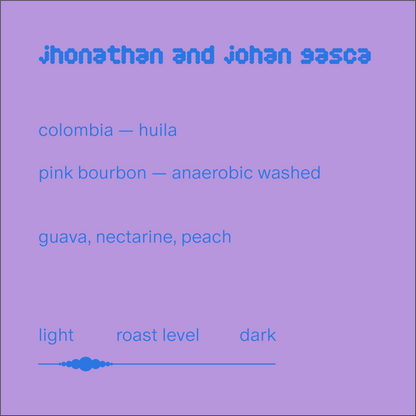 jhonathan and johan gasca | colombia | anaerobic washed pink bourbon