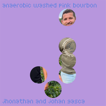 jhonathan and johan gasca | colombia | anaerobic washed pink bourbon