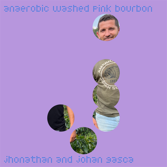 jhonathan and johan gasca | colombia | anaerobic washed pink bourbon
