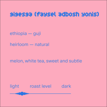 gigesa (faysel adbosh yonis) | ethiopia | natural heirloom
