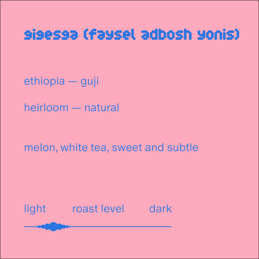 gigesa (faysel adbosh yonis) | ethiopia | natural heirloom