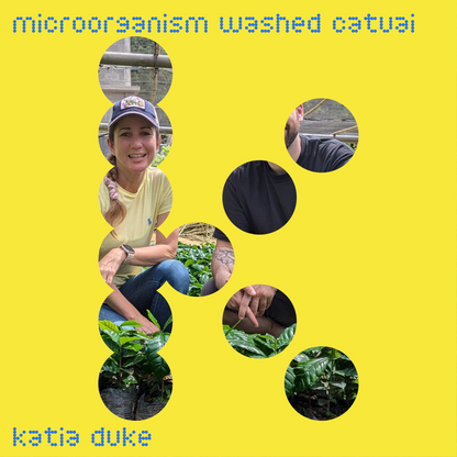 katia duke | honduras | microorganism washed catuai